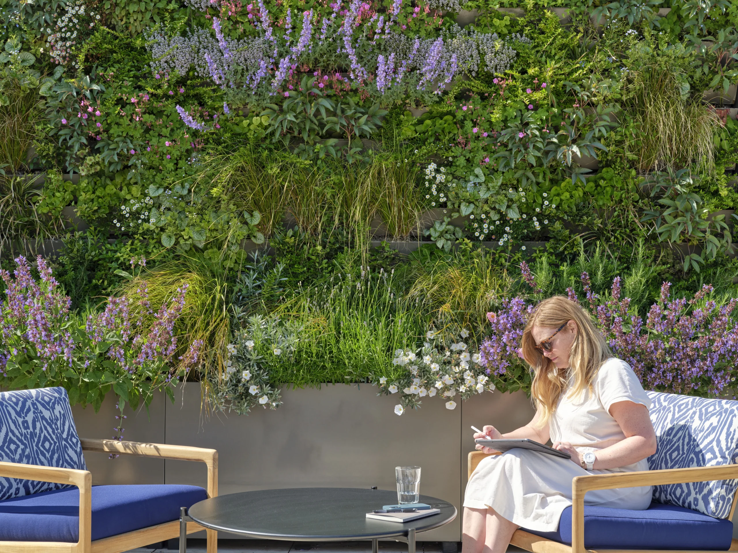 The rooftop of The Waterman in bloom, delivered by Ambit