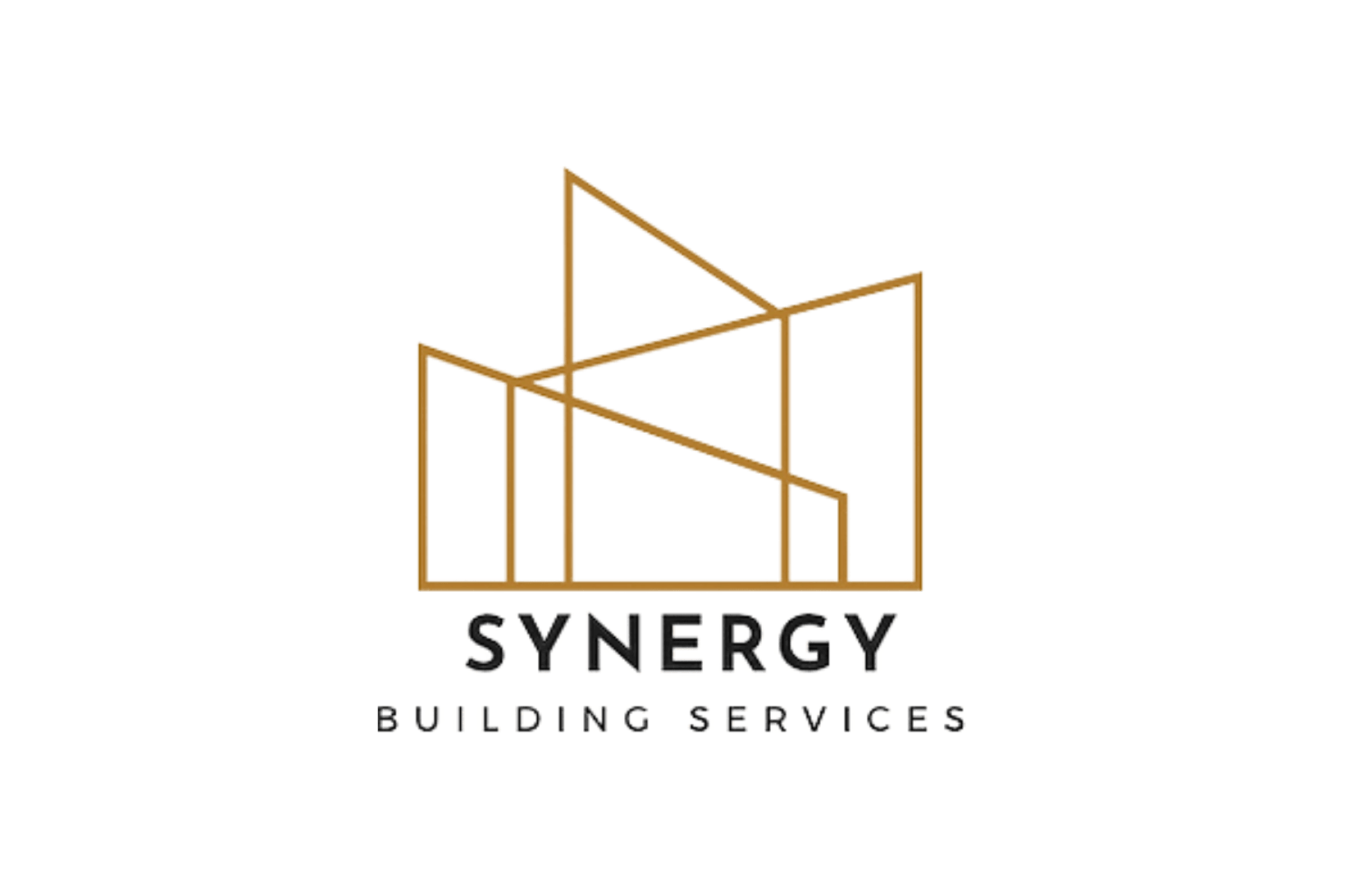 Synergy Logo