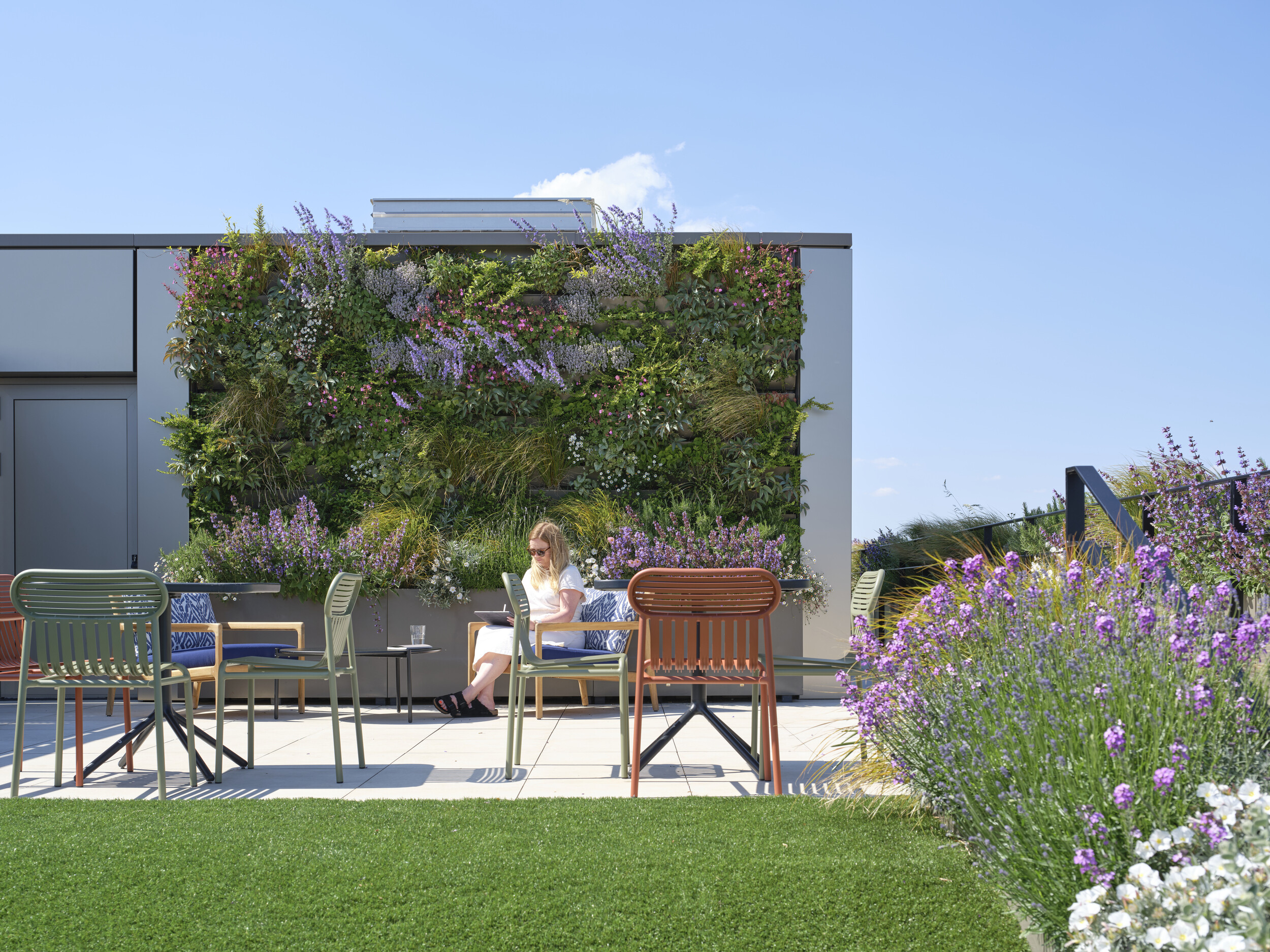 Rooftop garden at The Waterman, featuring a vibrant living wall, lavender planting, and relaxed outdoor seating under clear skies.
